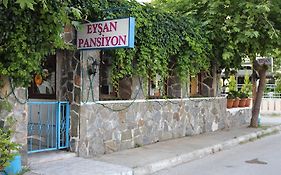 Eysan Akçay