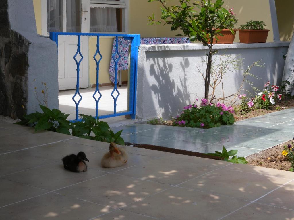 Eysan Pansiyon Akçay Dış mekan fotoğraf